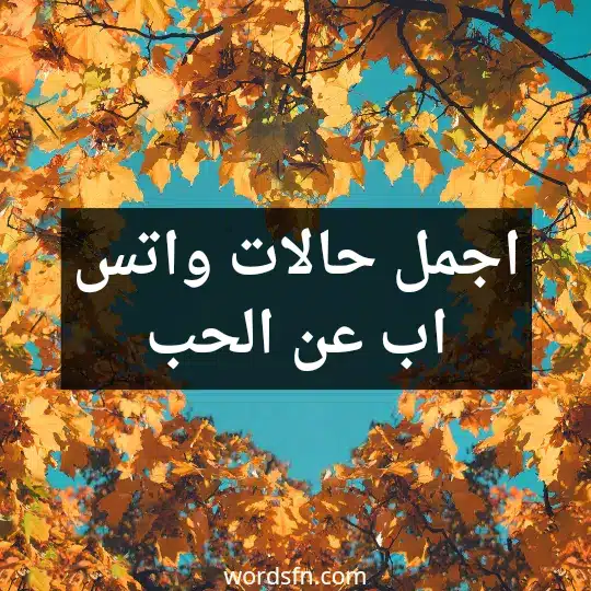 اجمل حالات واتس اب عن الحب