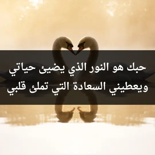 The most beautiful WhatsApp statuses about love 1 - فن العبارات حبك هو النور الذي يضيئ حياتي ويعطيني السعادة التي تملئ قلبي.