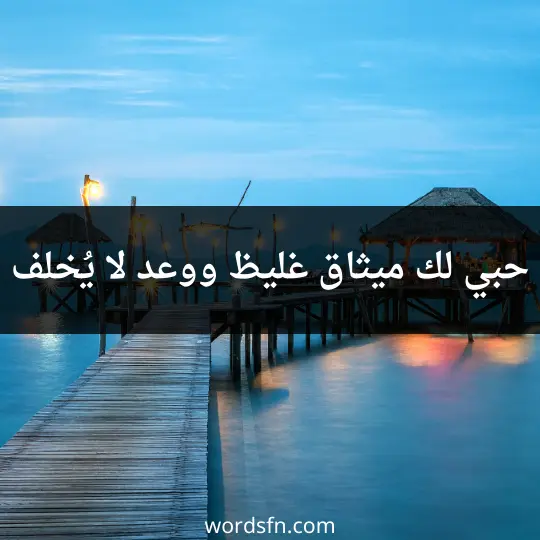 The most beautiful WhatsApp statuses about love 3 - فن العبارات حبي لك ميثاق غليظ، ووعد لا يُخلف