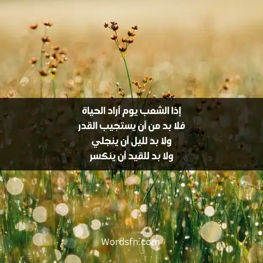 The most beautiful poems about life 1 - فن العبارات إذا الشعب يوم أراد الحياة فلا بد من أن يستجيب القدر ولا بد لليل أن ينجلي ولا بد للقيد أن ينكسر