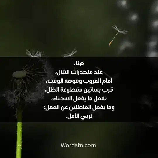 The most beautiful poems about life 3 - فن العبارات هنا، عند منحدرات التلال، أمام الغروب وفوهة الوقت، قرب بساتين مقطوعة الظل، نفعل ما يفعل السجناء، وما يفعل العاطلين عن العمل: نربي الأمل.