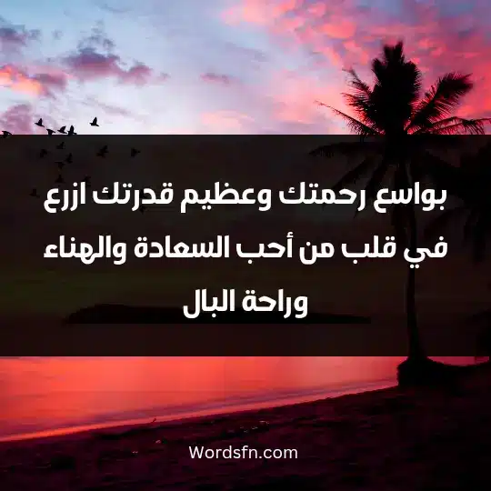 بواسع رحمتك وعظيم قدرتك ازرع في قلب من أحب السعادة والهناء واحة البال