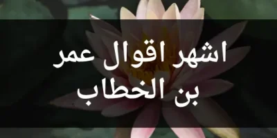 اشهر اقوال عمر بن الخطاب