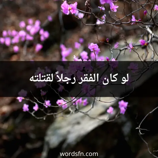 لو كان الفقر رجلاً لقتلته