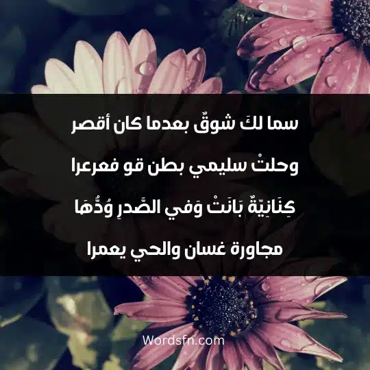 سما لكَ شوقٌ بعدما كان أقصر وحلتْ سليمي بطن قو فعرعرا كِنَانِيّةٌ بَانَتْ وَفي الصَّدرِ وُدُّهَا مجاورة غسان والحي يعمرا