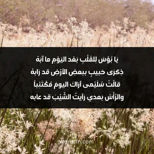 يَا بُؤسَ لِلقَلْبِ بَعْد اليَوْمِ ما آبَهْ ذِكرَى حَبيبٍ ببعضِ الأرْضِ قد رَابهْ قالّتْ سُلَيْمى أرَاكَ اليومَ مُكْتَئِباً والرَّأْسُ بَعدي رَأيتُ الشّيْبَ قد عابه