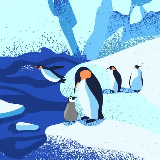 قصة رحلة البطريق الباحث عن بيته