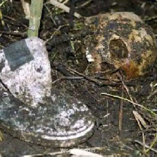 The story of the most dangerous serial killer in history Luis Garavito 3 - فن العبارات جمجمة أحد ضحايا لويس غارافيتو