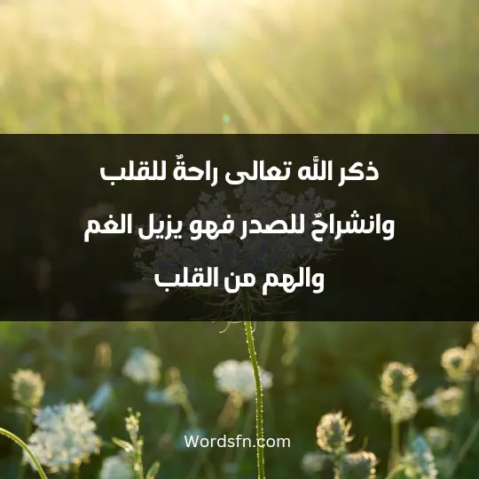 The virtue of remembrance after prayer1 - فن العبارات ذكر الله -تعالى- راحةٌ للقلب، وانشراحٌ للصدر؛ فهو يزيل الغم والهم من القلب.
