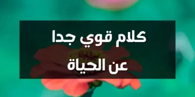 كلام قوي جدا عن الحياة