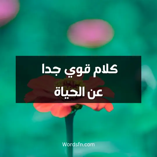كلام قوي جدا عن الحياة
