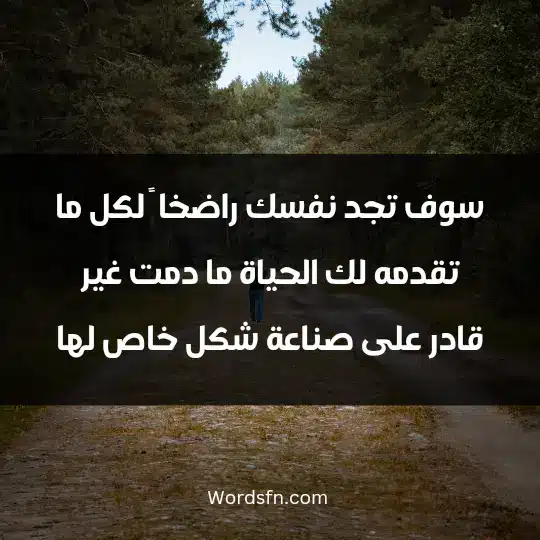Very powerful words about life1 - فن العبارات سوف تجد نفسك راضخا ً لكل ما تقدمه لك الحياة ما دمت غير قادر على صناعة شكل خاص لها