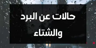 حالات عن البرد والشتاء