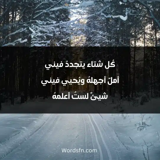 WhatsApp statuses about cold and winter 2 - فن العبارات كُل شتاء يتجددُ فيني أملٌ أجهلهُ ويُحيي فيني شيئٌ لستُ أعلمهُ