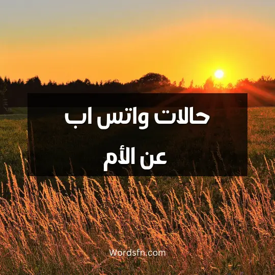 حالات واتس اب عن الأم