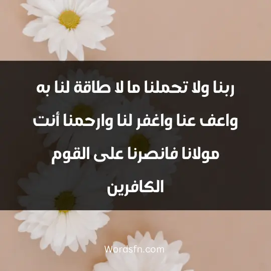 ربنا ولا تحملنا ما لا طاقة لنا به، واعف عنا واغفر لنا وارحمنا أنت مولانا فانصرنا على القوم الكافرين