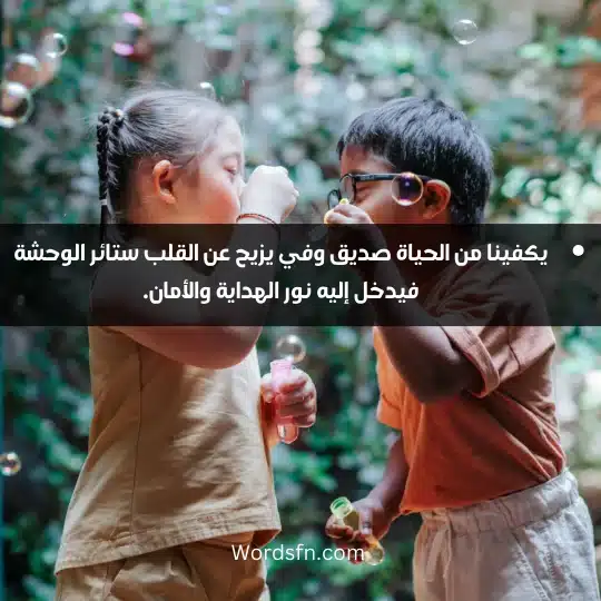 Wonderful words about friendship and love in God 1 - فن العبارات يكفينا من الحياة صديق وفي يزيح عن القلب ستائر الوحشة فيدخل إليه نور الهداية والأمان.