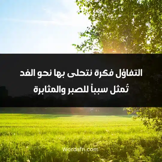 التفاؤل فكرة نتحلى بها نحو الغد. تُمثل سبباً للصبر والمثابرة