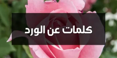 كلمات عن الورد