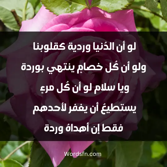 لو أن الدُنيا وردية ك قلوبنا ولو أن كُل خصامٍ ينتهي بوردة ويا سلام لو أن كُل مرءٍ يستطيعُ أن يغفر لأحدهم فقط إن أهداهُ وردة