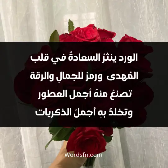 ينثرُ السعادةُ في قلب المُهدى ، ورمز للجمالِ والرقة، تصنعُ منهُ أجمل العطور ، وتخلدُ بهِ أجملُ الذكريات