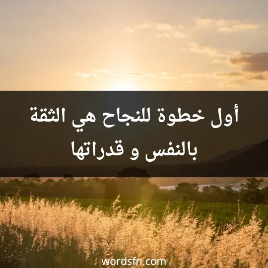 Words about self-confidence2 - فن العبارات أول خطوة للنجاح هي الثقة بالنفس و قدراتها