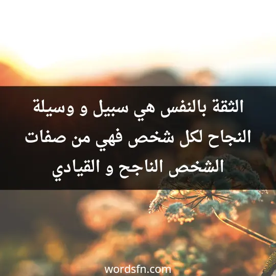 Words about self-confidence3 - فن العبارات الثقة بالنفس هي سبيل و وسيلة النجاح لكل شخص فهي من صفات الشخص الناجح و القيادي