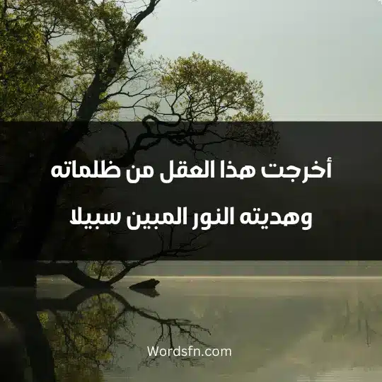 أخرجت هذا العقل من ظلماته..وهديته النور المبين سبيلا