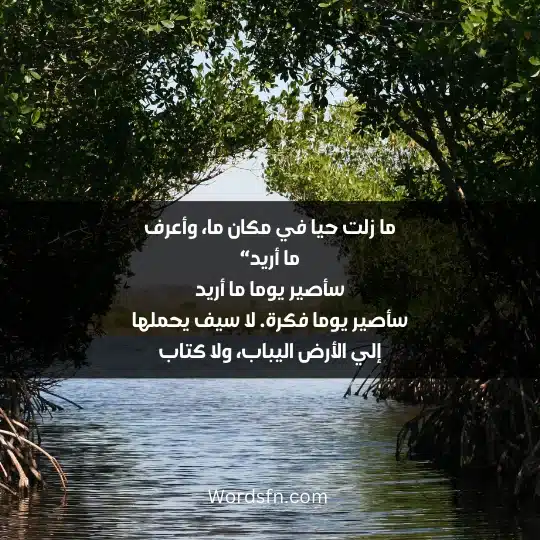 ما زلت حيا في مكان ما، وأعرف ما أريد“ سأصير يوما ما أريد سأصير يوما فكرة. لا سيف يحملها إلي الأرض اليباب، ولا كتاب