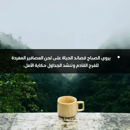 يروي الصباح قصائد الحياة على لحن العصافير المغردة للفرح القادم وتنشد الجداول حكاية الأمل.