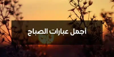 أجمل عبارات الصباح