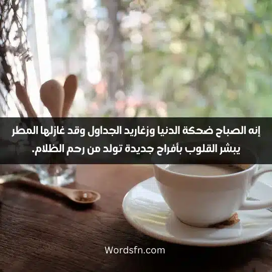 إنه الصباح ضحكة الدنيا وزغاريد الجداول وقد غازلها المطر يبشر القلوب بأفراح جديدة تولد من رحم الظلام.
