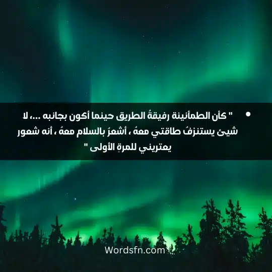 " كأن الطمأنينة رفيقةُ الطريق حينما أكون بجانبه ...، لا شيئ يستنزفُ طاقتي معهُ ، أشعرُ بالسلام معهُ ، أنه شعور يعتريني للمرةِ الأولى "" كأن الطمأنينة رفيقةُ الطريق حينما أكون بجانبه ...، لا شيئ يستنزفُ طاقتي معهُ ، أشعرُ بالسلام معهُ ، أنه شعور يعتريني للمرةِ الأولى "