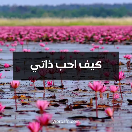 كيف احب ذاتي