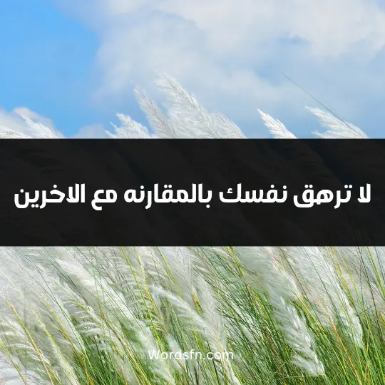 لا ترهق نفسك بالمقارنه مع الاخرين