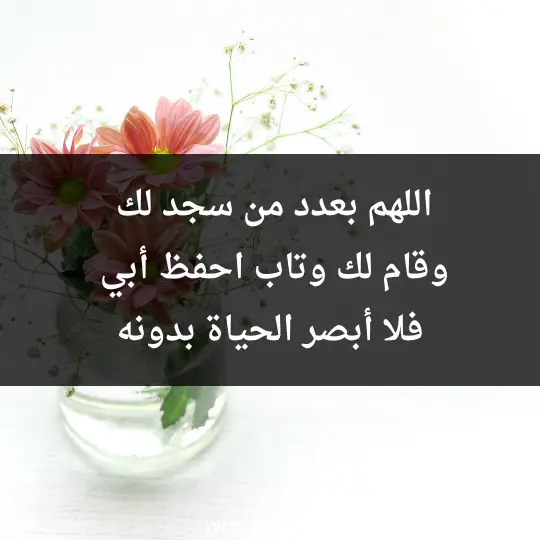 اللهم بعدد من سجد لك وقام لك وتاب احفظ أبي فلا أبصر الحياة بدونه