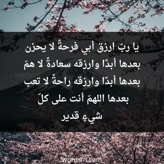 يا ربّ ارزق أبي فرحةً لا يحزن بعدها أبدًا، وارزقه سعادةً لا همّ بعدها أبدًا، وارزقه راحةً لا تعب بعدها، اللهمّ أنت على كلّ شيءٍ قدير