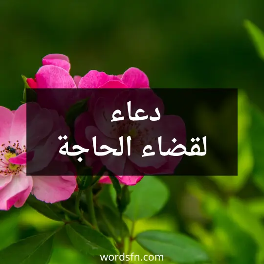 دعاء لقضاء الحاجة