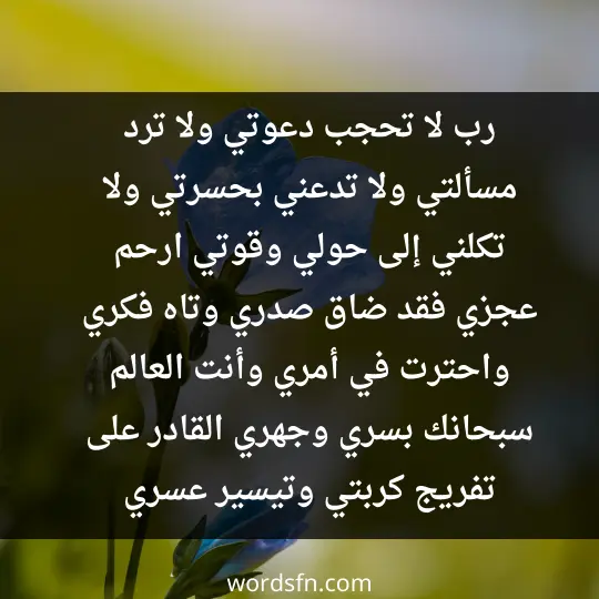 رب لا تحجب دعوتي ولا ترد مسألتي ولا تدعني بحسرتي ولا تكلني إلى حولي وقوتي، ارحم عجزي فقد ضاق صدري وتاه فكري واحترت في أمري وأنت العالم سبحانك بسري وجهري القادر على تفريج كربتي وتيسير عسري، اللهم أحيينا في الدنيا مؤمنين طائعين