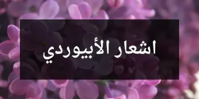 اشعار الأبيوردي