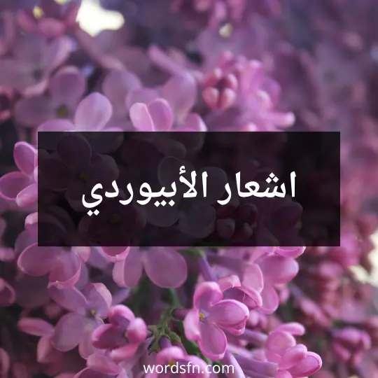 اشعار الأبيوردي