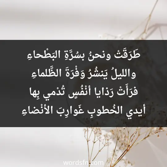 طَرَقَتْ ونحنُ بسُرَّةِ البَطْحاءِ والليلُ يَنشُرُ وَفْرَةَ الظَّلماءِ فرَأَتْ رَذايا أنْفُسٍ تُدْمي بِها أيدي الخُطوبِ غَوارِبَ الأنْضاءِ