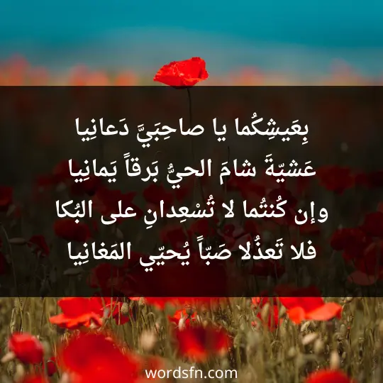 بِعَيشِكُما يا صاحِبَيَّ دَعانِيا عَشيّةَ شامَ الحيُّ بَرقاً يَمانِيا وإن كُنتُما لا تُسْعِدانِ على البُكا فلا تَعذُلا صَبّاً يُحيّي المَغانِيا