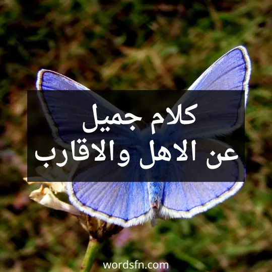 كلام جميل عن الاهل والاقارب