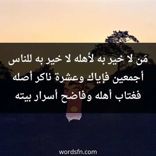 Beautiful words about family and relatives1 - فن العبارات مَن لا خير به لأهله لا خير به للناس أجمعين فإياك وعشرة ناكر أصله فغتاب أهله وفاضح أسرار بيته