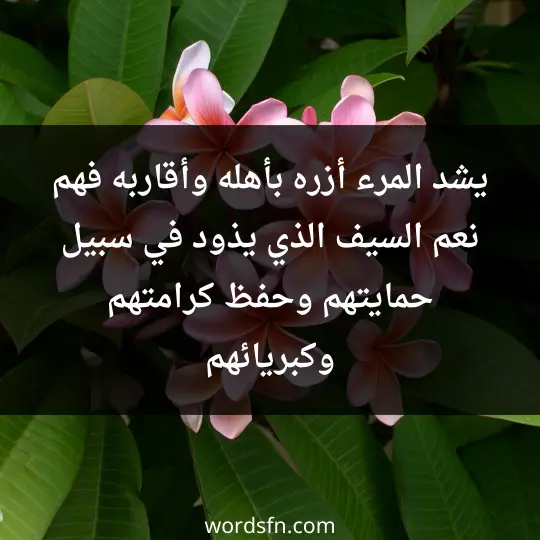 Beautiful words about family and relatives2 - فن العبارات يشد المرء أزره بأهله وأقاربه فهم نعم السيف الذي يذود في سبيل حمايتهم وحفظ كرامتهم وكبريائهم