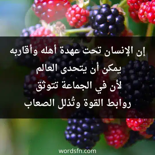 Beautiful words about family and relatives3 - فن العبارات إن الإنسان تحت عهدة أهله وأقاربه يمكن أن يتحدى العالم لأن في الجماعة تتوثق روابط القوة وتُذلل الصعاب