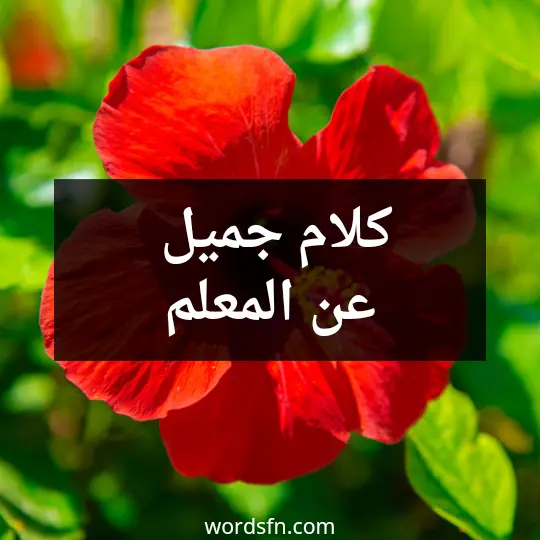 كلام جميل عن المعلم