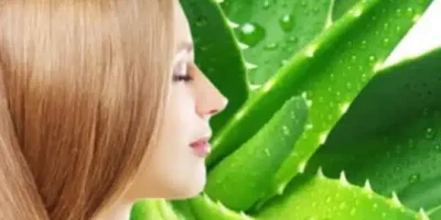 فوائد الصبار للبشرة