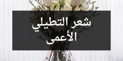 شعر التطيلي الأعمى